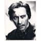 LA GORGONE Photo de presse américaine 89P15 - 20x25 cm. - 1964/R1980 - Christopher Lee, Terence Fisher