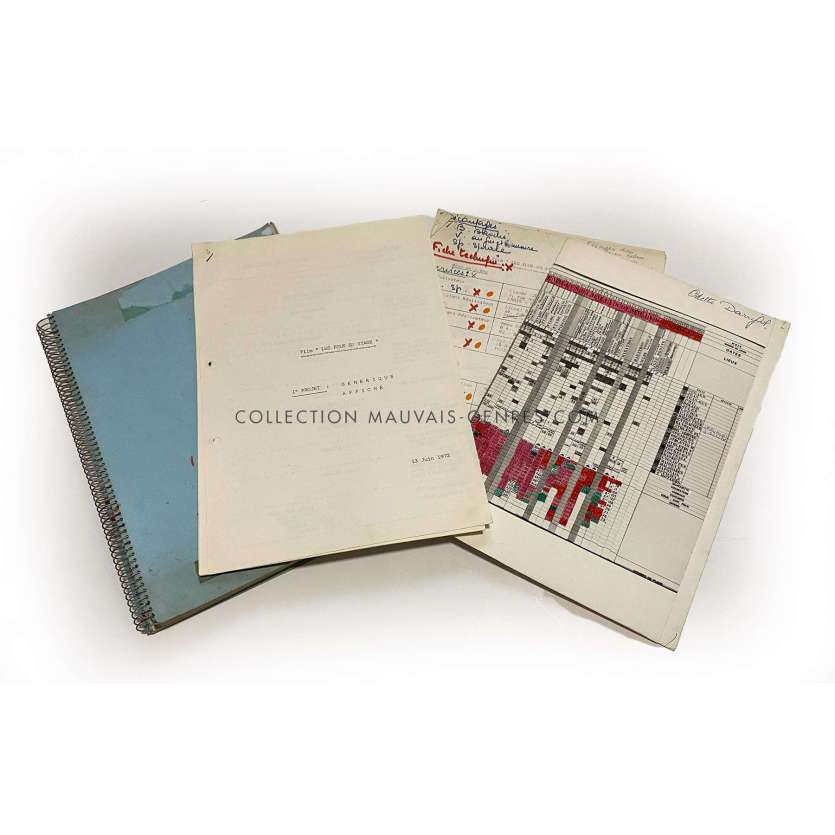 LES FOUS DU STADE Scénario français- 21x30 cm. - 1972 - Gérard Rinaldi, Claude Zidi