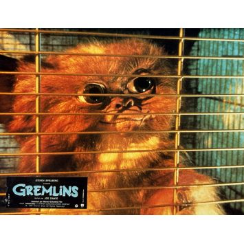 GREMLINS Lobby Card N02 - 9x12 in. - 1984 - Zach Galligan, Joe Dante