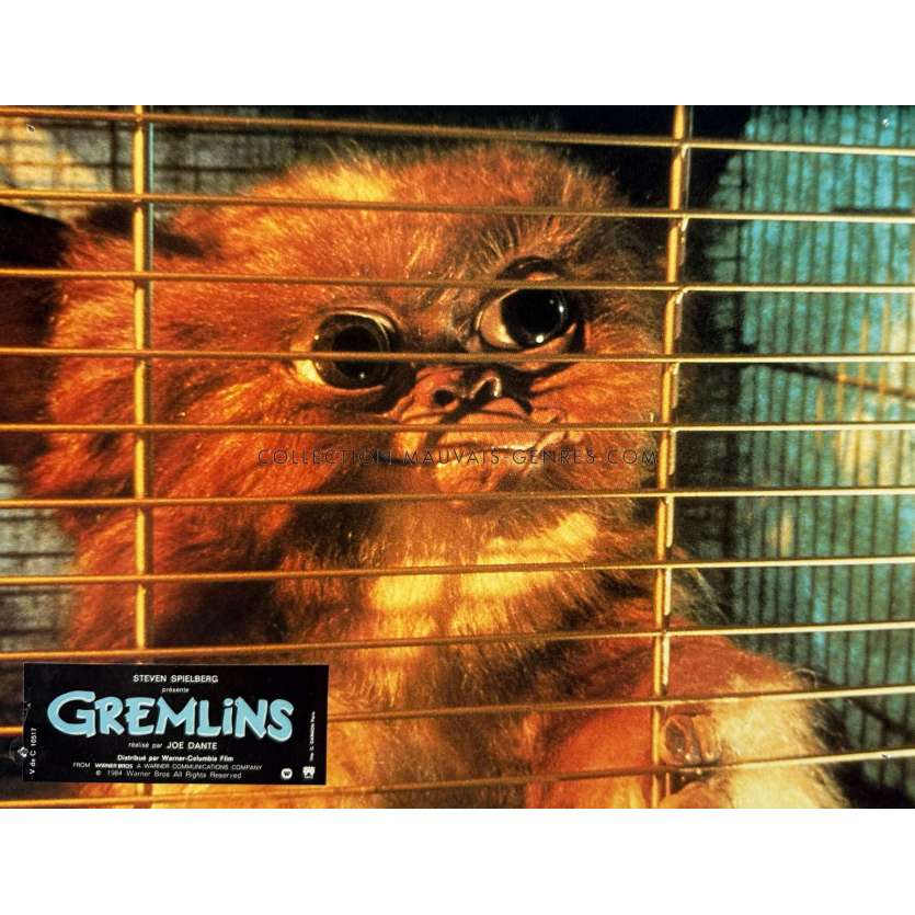 GREMLINS Photo de film N02 - 22x28 cm. - 1984 - Zach Galligan, Joe Dante
