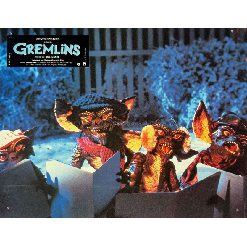 GREMLINS Photo de film N04 - 22x28 cm. - 1984 - Zach Galligan, Joe Dante