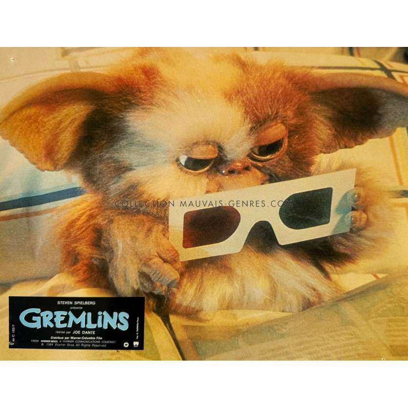GREMLINS Photo de film N09 - 22x28 cm. - 1984 - Zach Galligan, Joe Dante