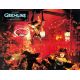 GREMLINS Photo de film N11 - 22x28 cm. - 1984 - Zach Galligan, Joe Dante