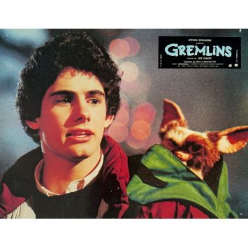 GREMLINS Photo de film N12 - 22x28 cm. - 1984 - Zach Galligan, Joe Dante