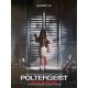 POLTERGEIST 3D Affiche de film- 120x160 cm. - 2015 - Sam Rockwell, Gil Kenan