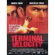 TERMINAL VELOCITY Affiche de film- 120x160 cm. - 1994 - Deran Sarafian, Nastassja Kinski