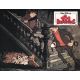 LES 101 DALMATIENS Photo de film N09 - 22x28 cm. - 1961/R1980 - Rod Taylor, Walt Disney