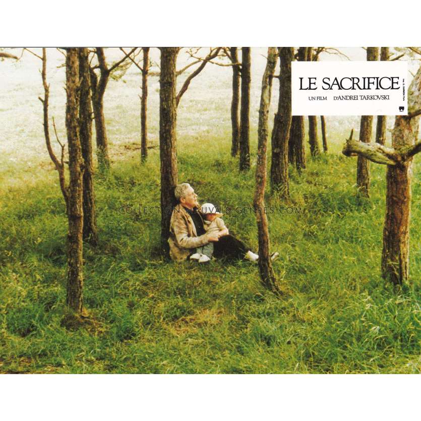THE SACRIFICE Original Lobby Card N03 - 9x12 in. - 1986 - Erland Josephson, Andrei Tarkovski