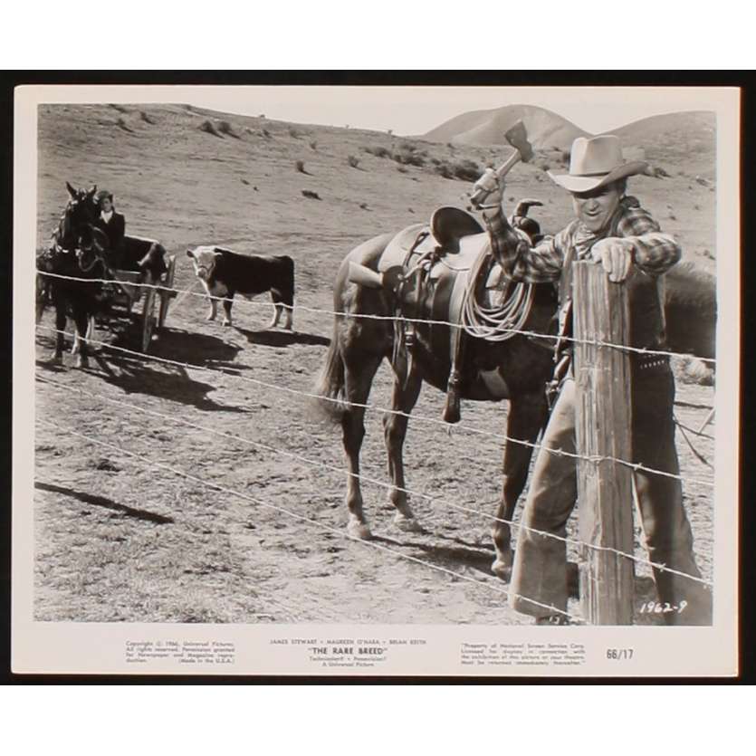 RANCHO BRAVO Photo presse 20x25 US '66 James Stewart, O'Hara