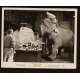 MISTER MOSES Photo Presse 20x25 US '65 Robert Mitchum, Caroll Baker