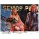 SISSY SPACEK - WILLIAM KATT Photo signée  20x25 - 1976 - Carrie, Stephen King