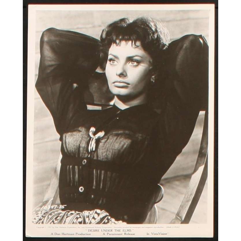 DESIRE SOUS LES ORMES Photo de presse  20x25 - 1958 - Sophia Loren, Delbert Mann