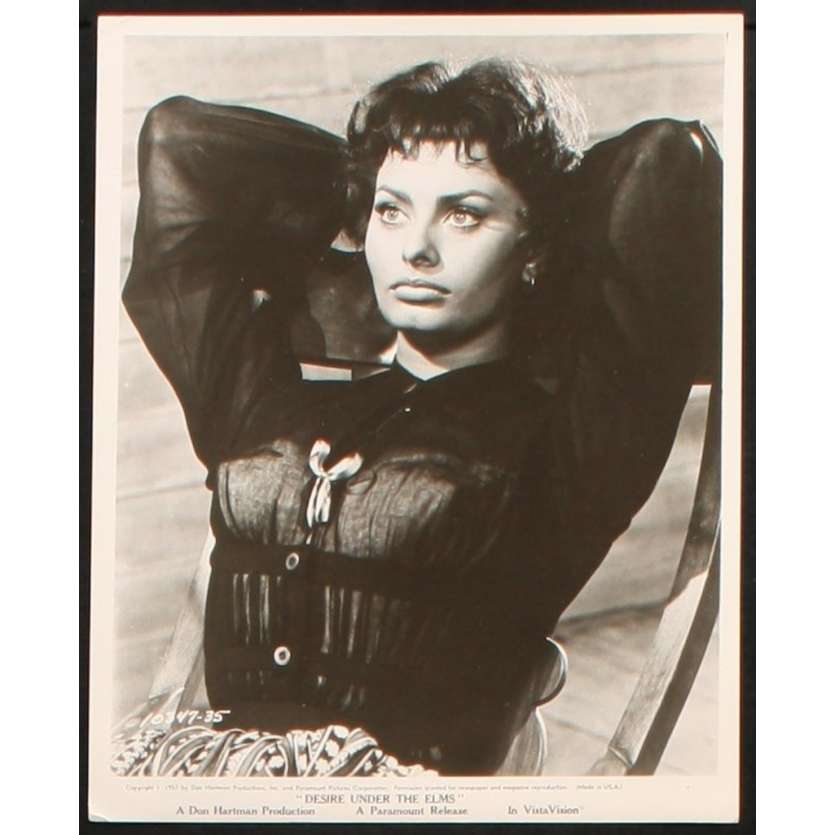 DESIRE UNDER THE ELMS US Still 8x10 - 1958 - Delbert Mann, Sophia Loren