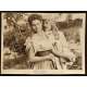 PAR DESSUS LES MOULINS Photo de presse 2 20x25 - 1955 - Sophia Loren, Mario Camerini